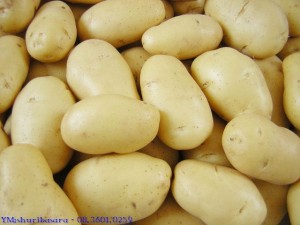 khoai-tay