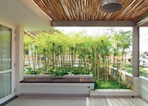 Trồng nhiều loại cây quen thuộc như tre, trúc tạo cảm giác vườn "xôm tụ" hơn.